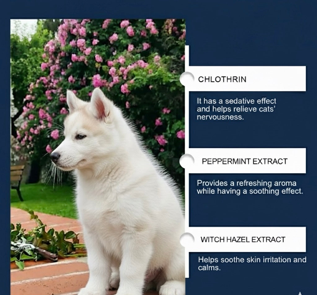 PurrEase™ – The Trusted Solution for Anxious Pets