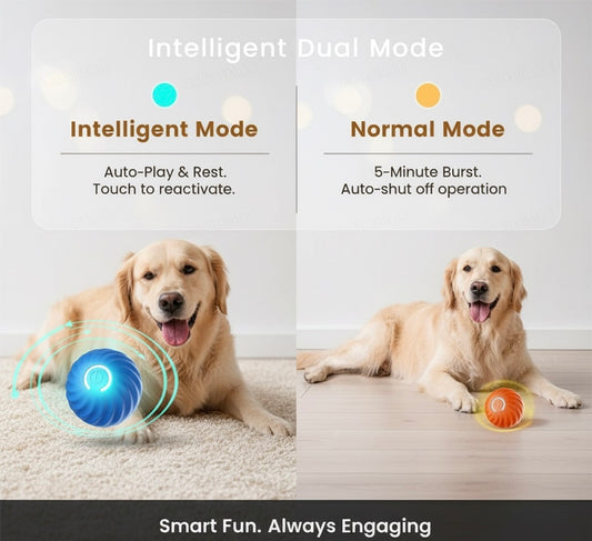 JumpJoy-Fun & Engaging Bouncing Pet Toy