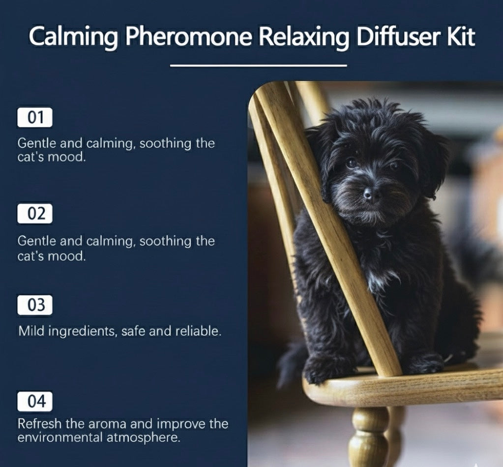 PurrEase™ – The Trusted Solution for Anxious Pets