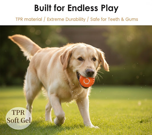 JumpJoy-Fun & Engaging Bouncing Pet Toy