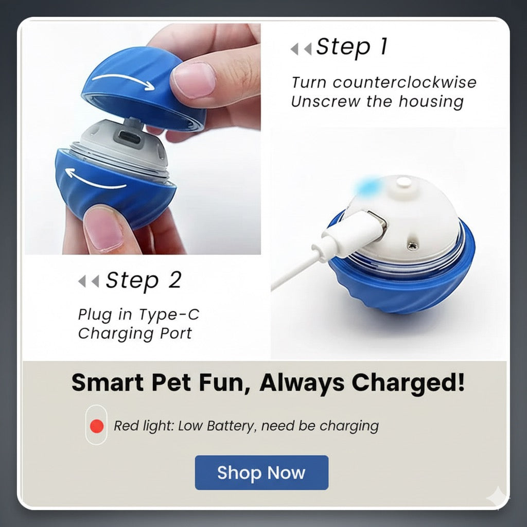 JumpJoy-Fun & Engaging Bouncing Pet Toy