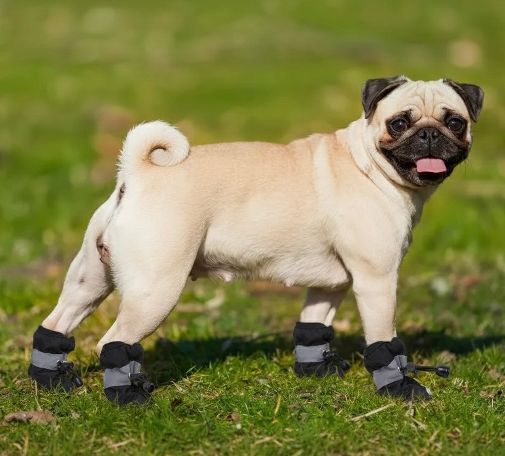 SoftGuards- Paw Protection Shoes