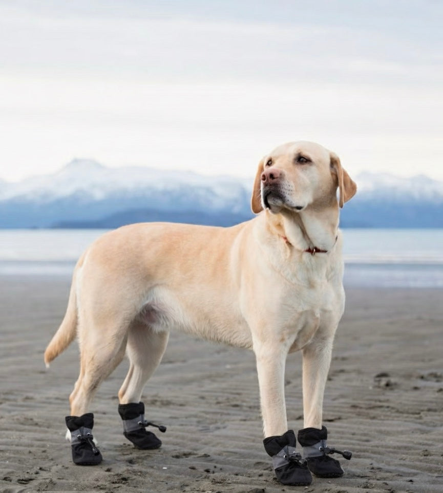 SoftGuards- Paw Protection Shoes