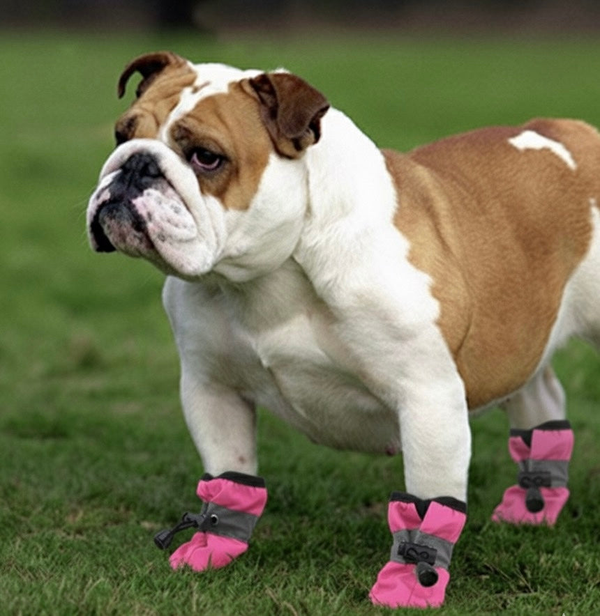 SoftGuards- Paw Protection Shoes