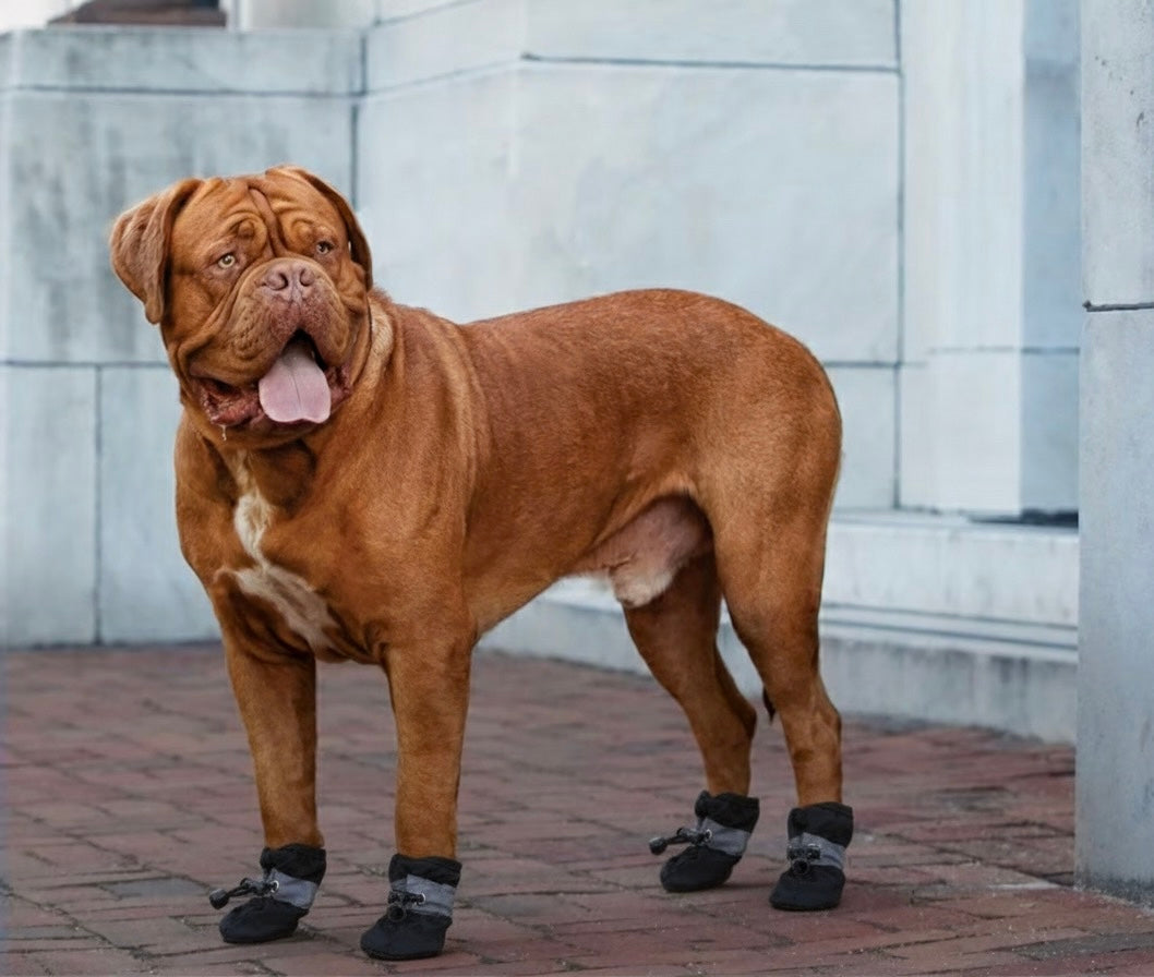 SoftGuards- Paw Protection Shoes