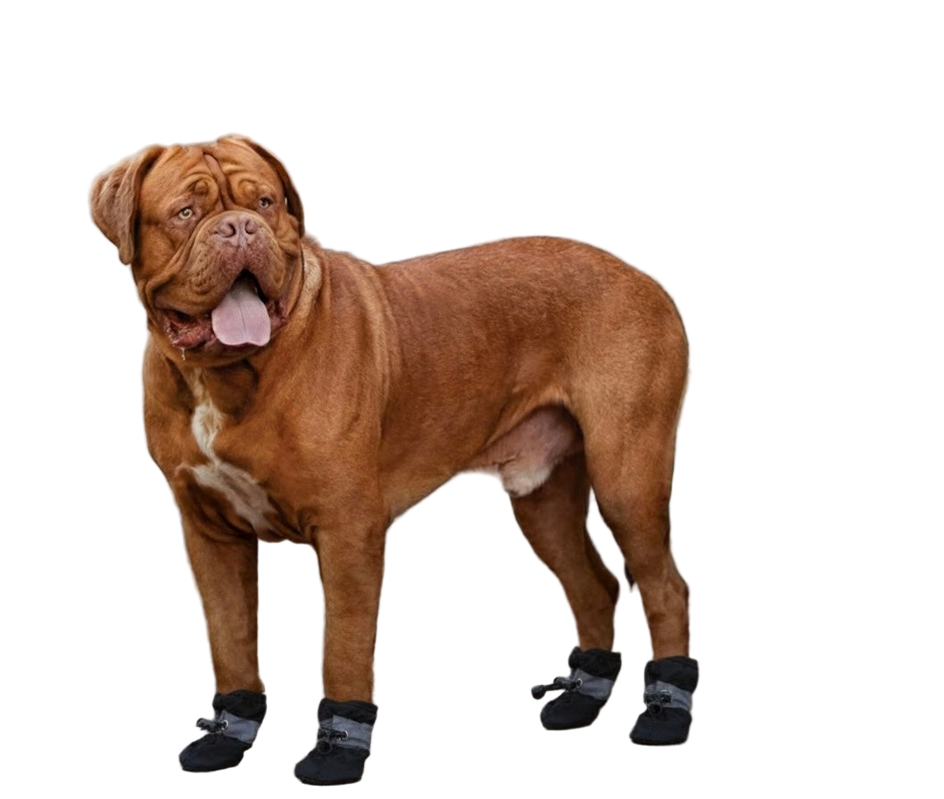SoftGuards- Paw Protection Shoes