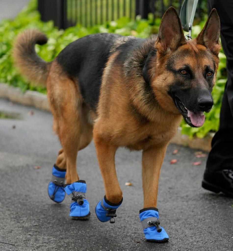 SoftGuards- Paw Protection Shoes