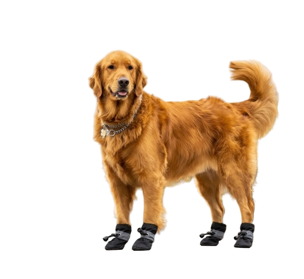 SoftGuards- Paw Protection Shoes