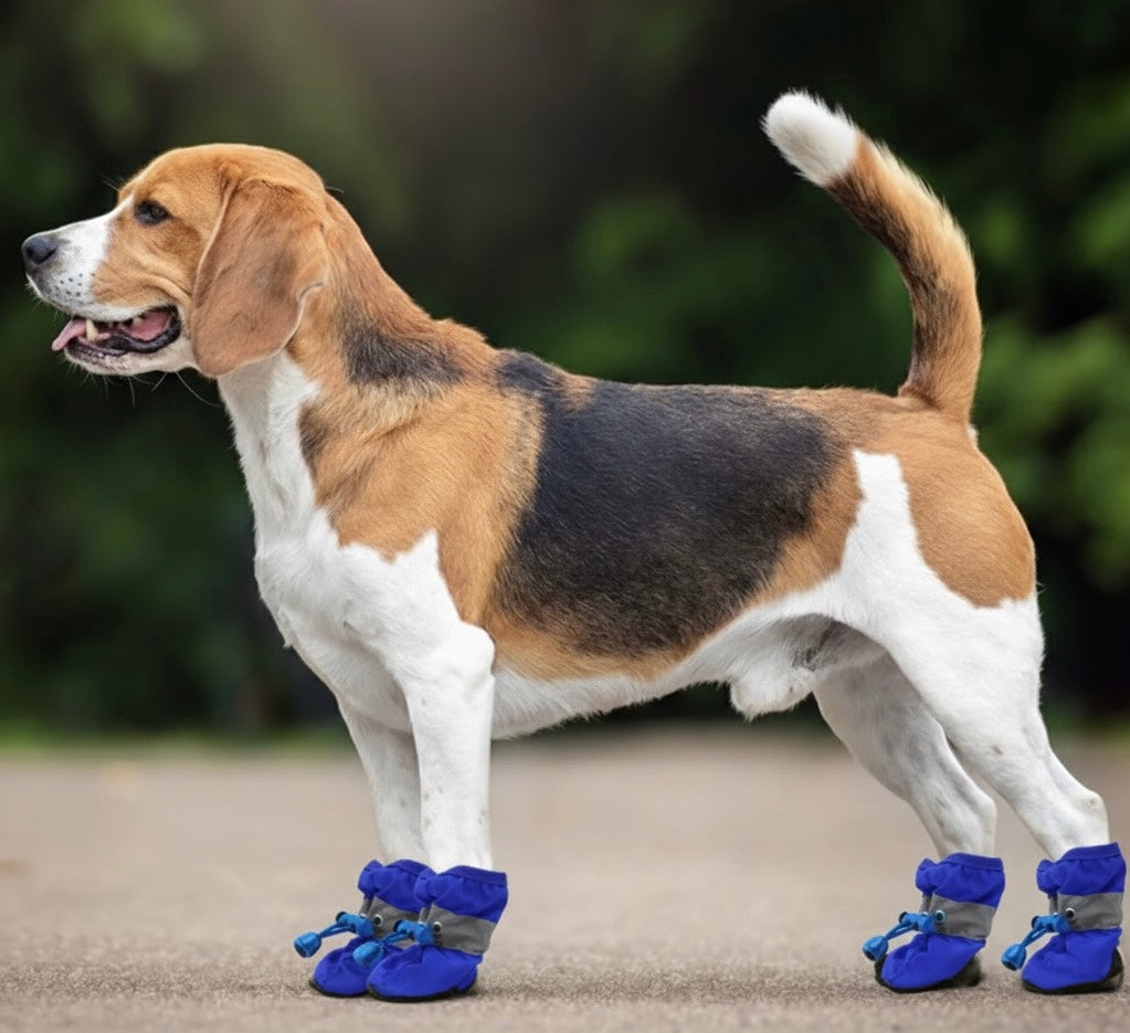 SoftGuards- Paw Protection Shoes