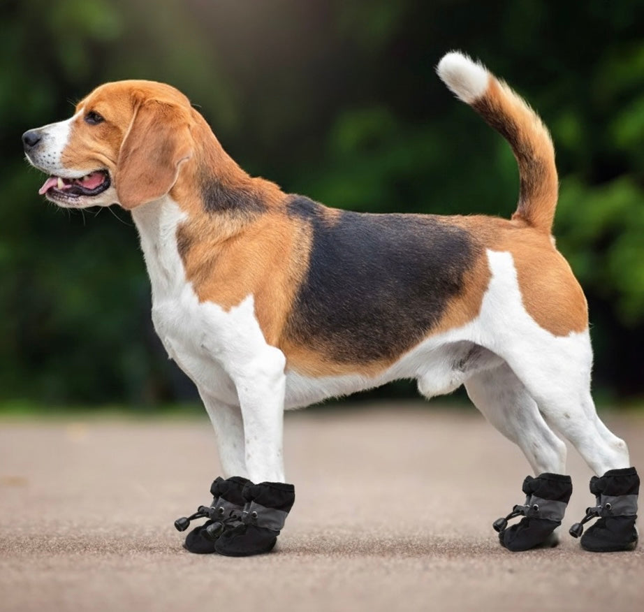 SoftGuards- Paw Protection Shoes