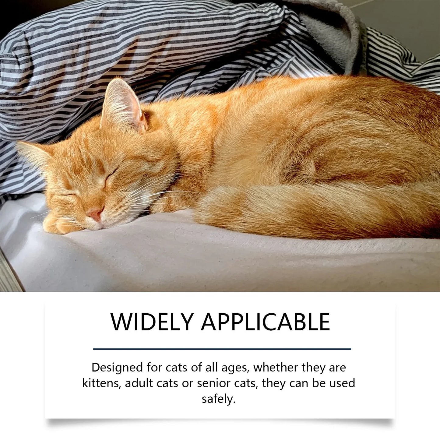 PurrEase™ – The Trusted Solution for Anxious Pets